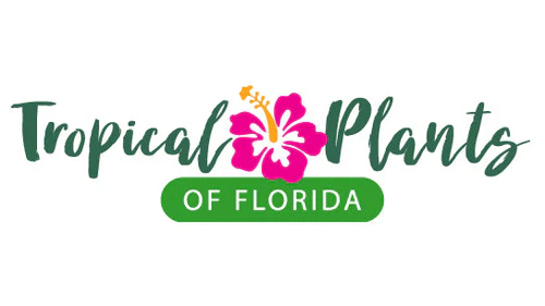 Tropical Plants of Florida